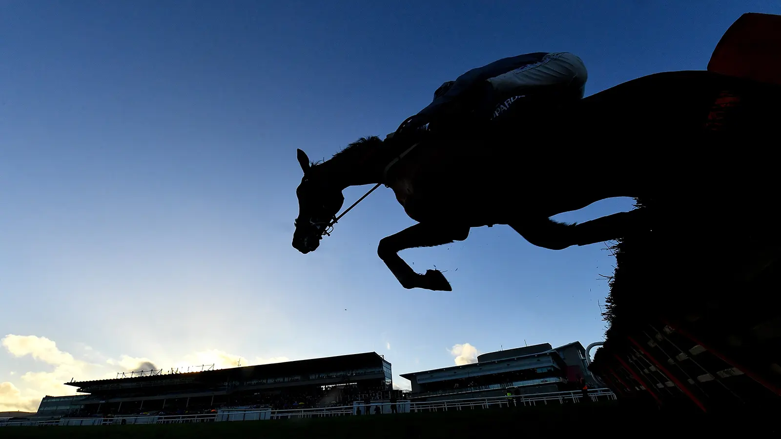Leopardstown jump