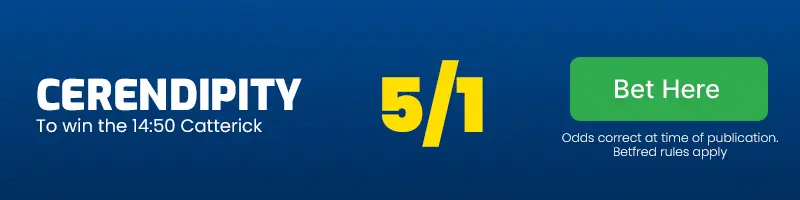 Cerendipity to win the 14. 50 catterick at 5-1