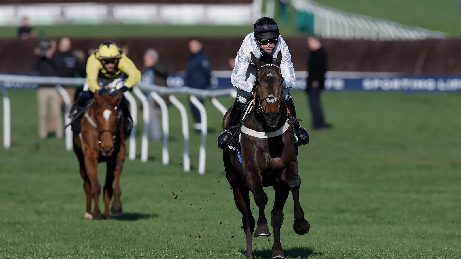 Constitution hill champion hurdle cheltenham