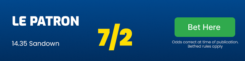 Le patron 14. 35 sandown