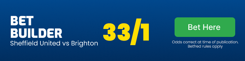 Sheffutdbrighton33:1