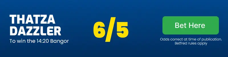 Thatza dazzler to win the 14. 20 bangor at 6-5