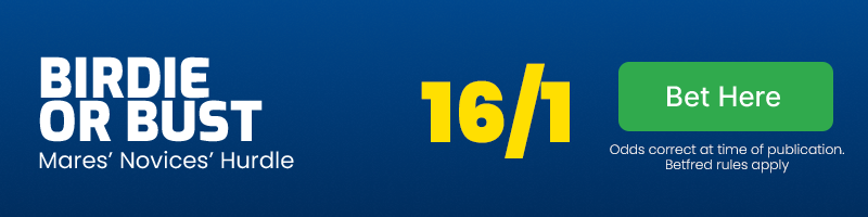 Birdie or bust - mares' novices' hurdle @ 16/1