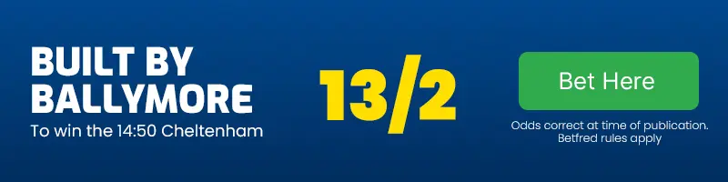 Built by ballymore to win the 14. 50 cheltenham at 13-2