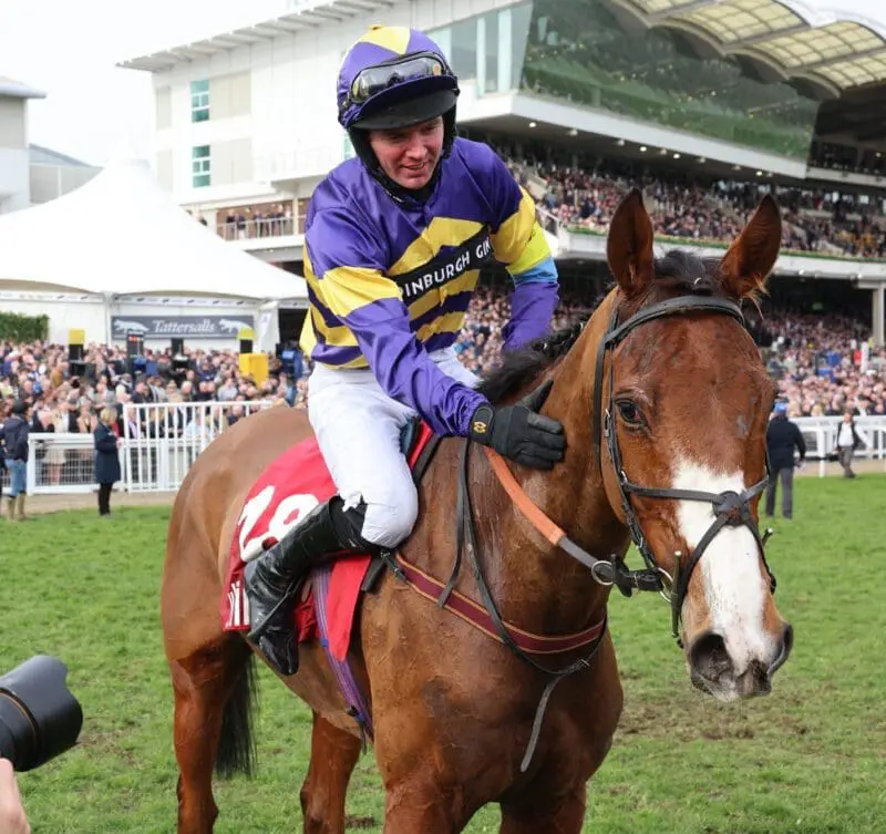 Corach rambler cheltenham