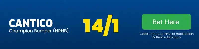 Cantico at 14-1 to win the champion bumper at the 2024 cheltenham festival