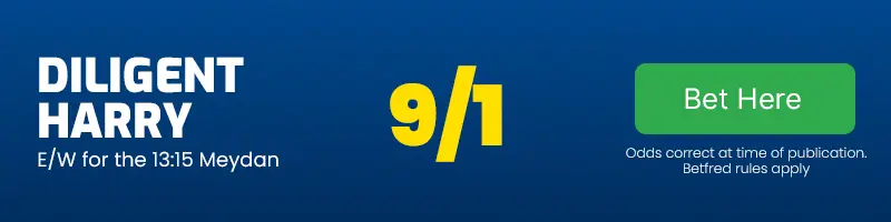 Diligent harry each-way for the 13. 15 meydan at 9-1