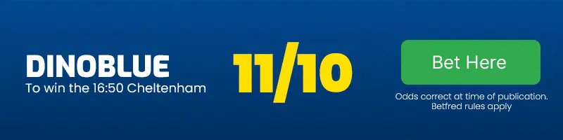 Dinoblue to win the 16. 50 cheltenham at 11-10