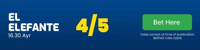 El elefante 16. 30 ayr