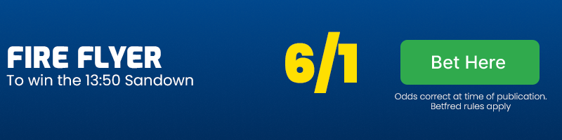 Fire flyer to win the 13. 50 sandown at 6-1