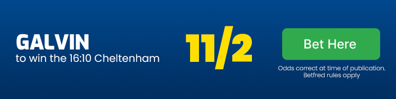 Galvin to win 16. 10 cheltenham at 11-2