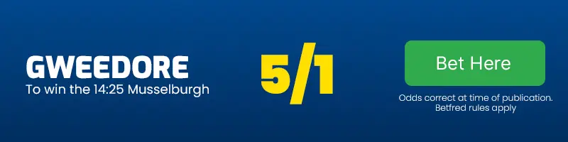 Gweedore to win the 14. 25 musselburgh at 5-1