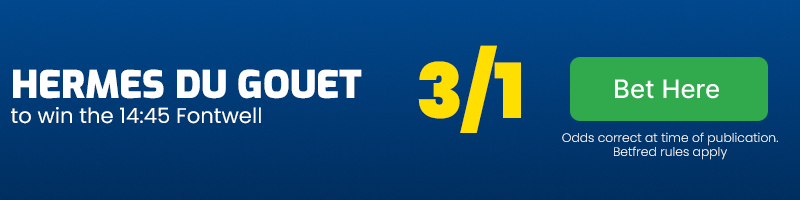 Hermes du gouet to win the 14. 45 fontwell at 3-1