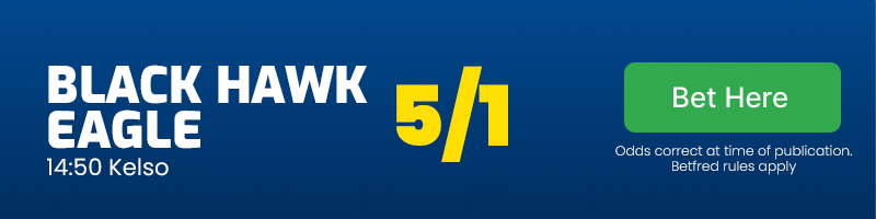 Black hawk eagle at 5/1