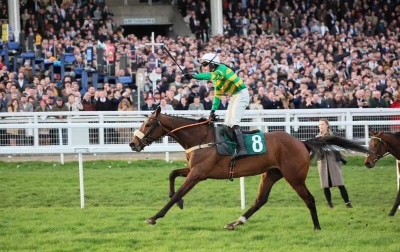 Iroko horse racing