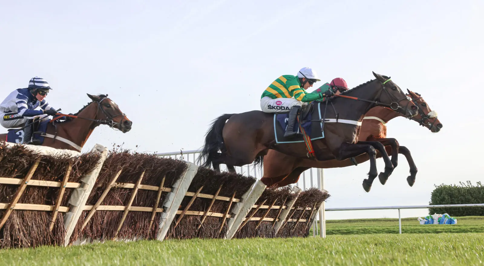 Horse racing