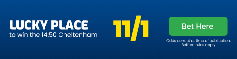 Lucky place to win 14. 50 cheltenham at 11-1