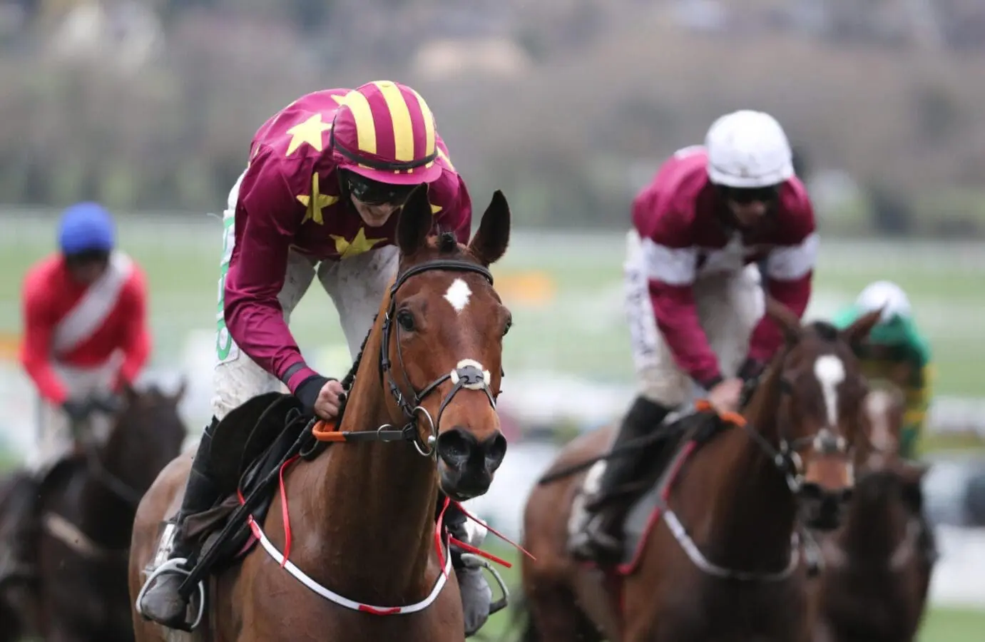 Horse racing