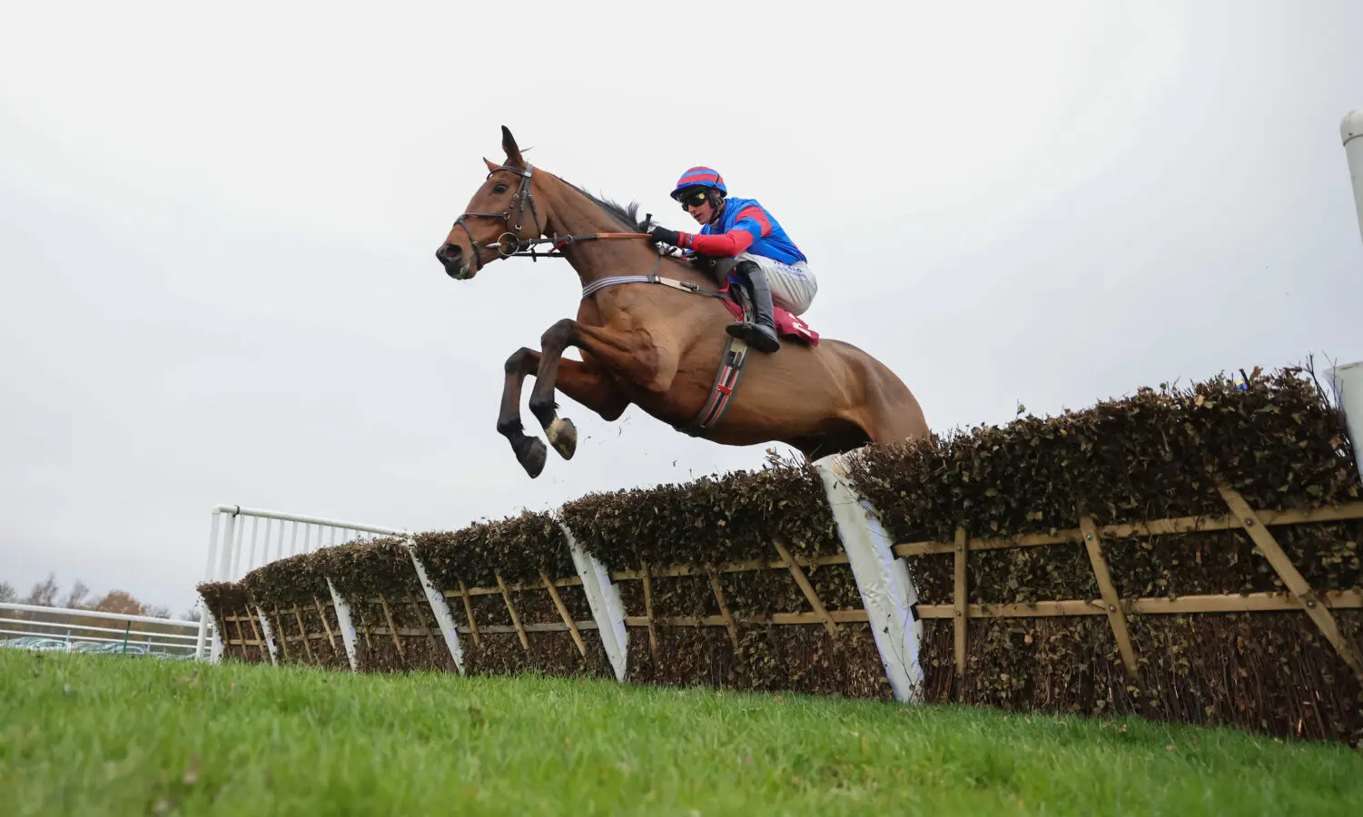 Horse racing