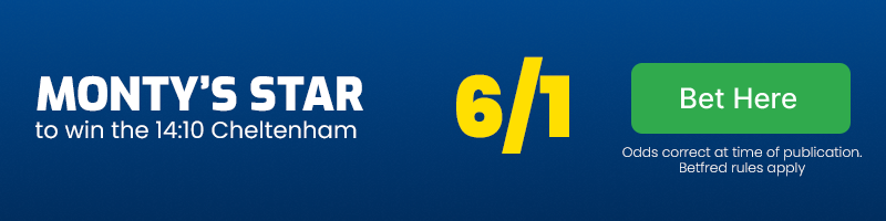 Monty's star to win 14. 10 cheltenham at 6-1