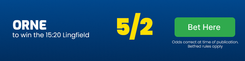 Orne to win 15. 20 lingfield at 5-2