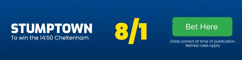 Stumptown to win the 14. 50 cheltenham at 8-1