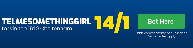 Telmsomethinggirl to win 16. 10 cheltenham at 14-1