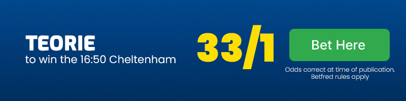 Teorie to win the 16. 50 cheltenham at 33-1