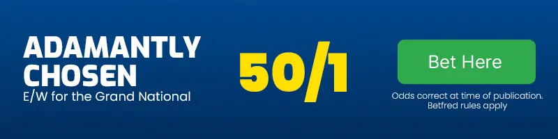 Adamantly chosen each-way for the grand national at 50-1