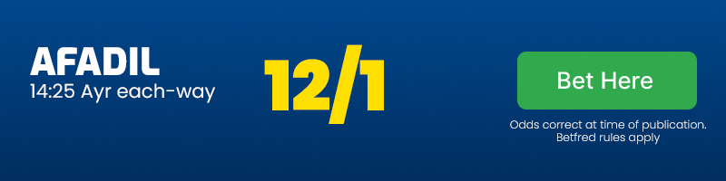 Afadil 14. 25 ayr