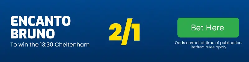 Encanto bruno to win the 13. 30 cheltenham at 2-1