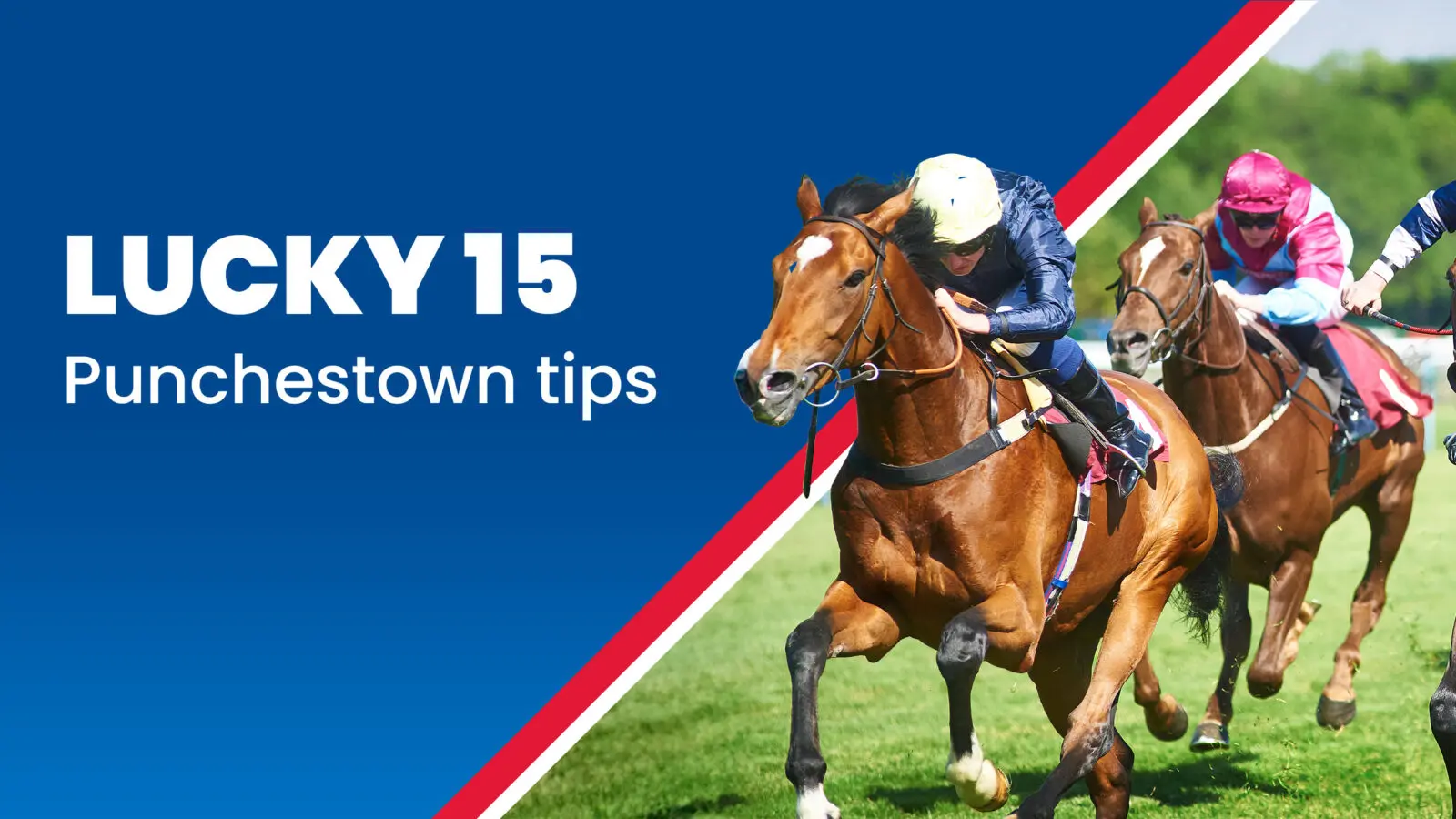 L15 punchestown