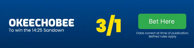 Okeechobee to win the 14. 25 sandown at 3-1