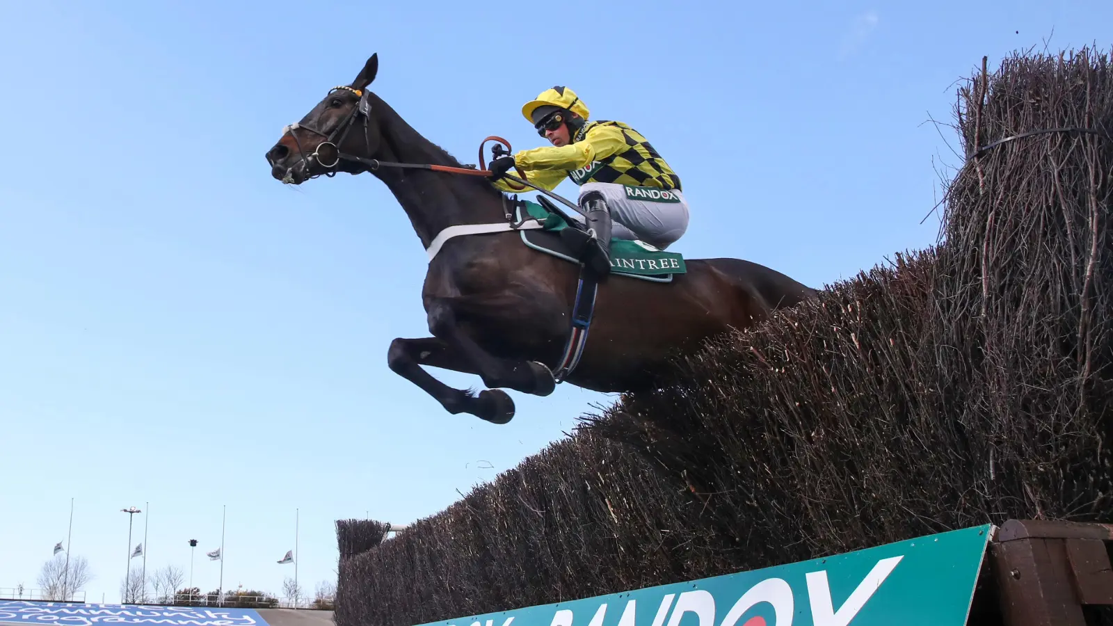 Shishkin aintree grand national