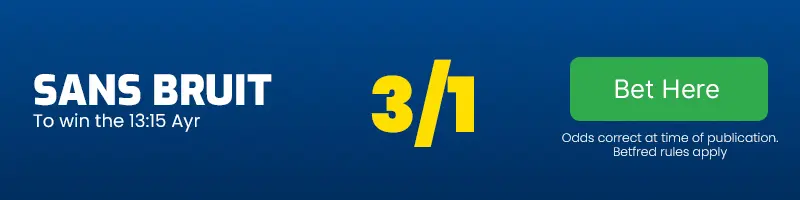 Sans bruit to win the 13. 15 ayr at 3-1