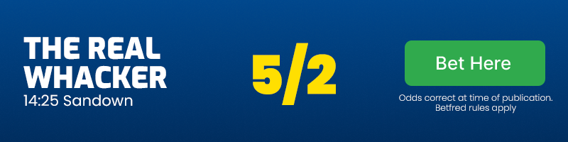 The real whacker 14. 25 sandown