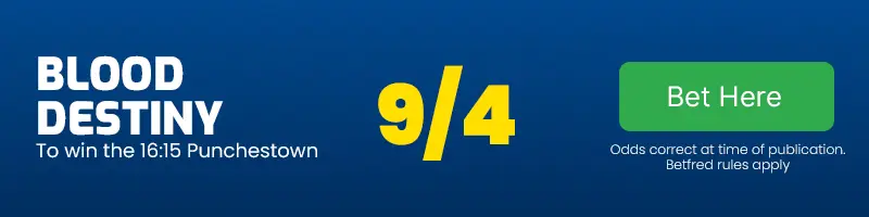 Blood destiny to win the 16. 15 punchestown at 9-4