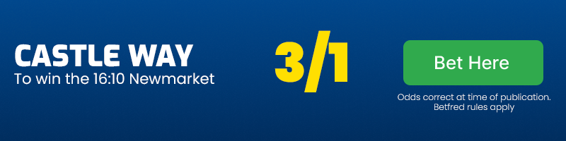 Castle way to win 16. 10 newmarket at 3-1