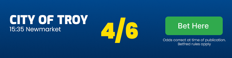 City of troy 15. 35 newmarket