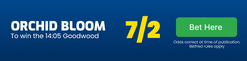 Orchid bloom to win 14. 05 goodwood at 7-2