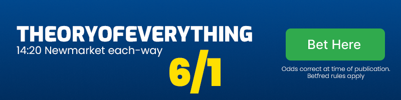 Theoryofeverything newmarket 14. 20 each-way