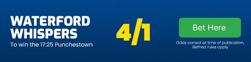 Waterford whispers to win the 17. 25 punchestown at 4-1