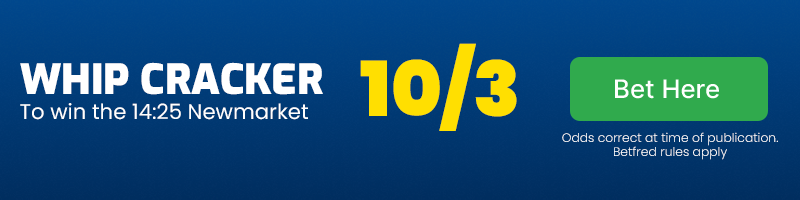 Whip cracker to win 14. 25 newmarket at 10-3
