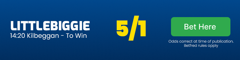 14. 20 kilbeggan - littlebiggie @ 5-1
