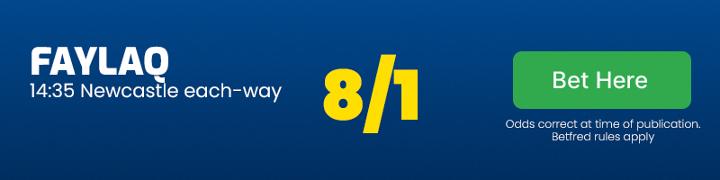 Faylaq 14. 35 newcastle each-way