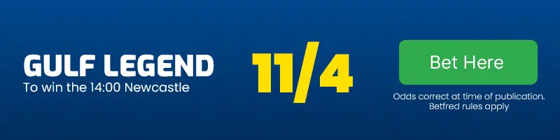 Gulf legend to win the 14. 00 newcastle at 11-4
