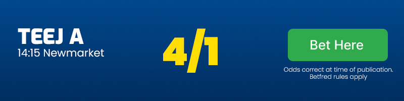 Teej a 14. 15 newmarket