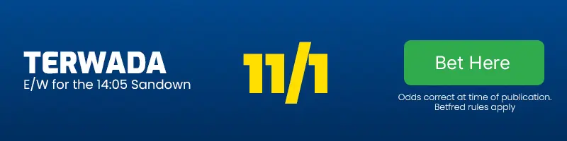 Terwada each-way for the 14. 05 sandown at 11-1