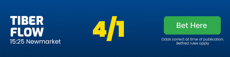 Tiber flow 15. 25 newmarket