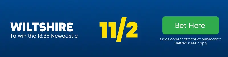 Wiltshire to win the 13. 35 newcastle at 11-2